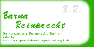 barna reinprecht business card